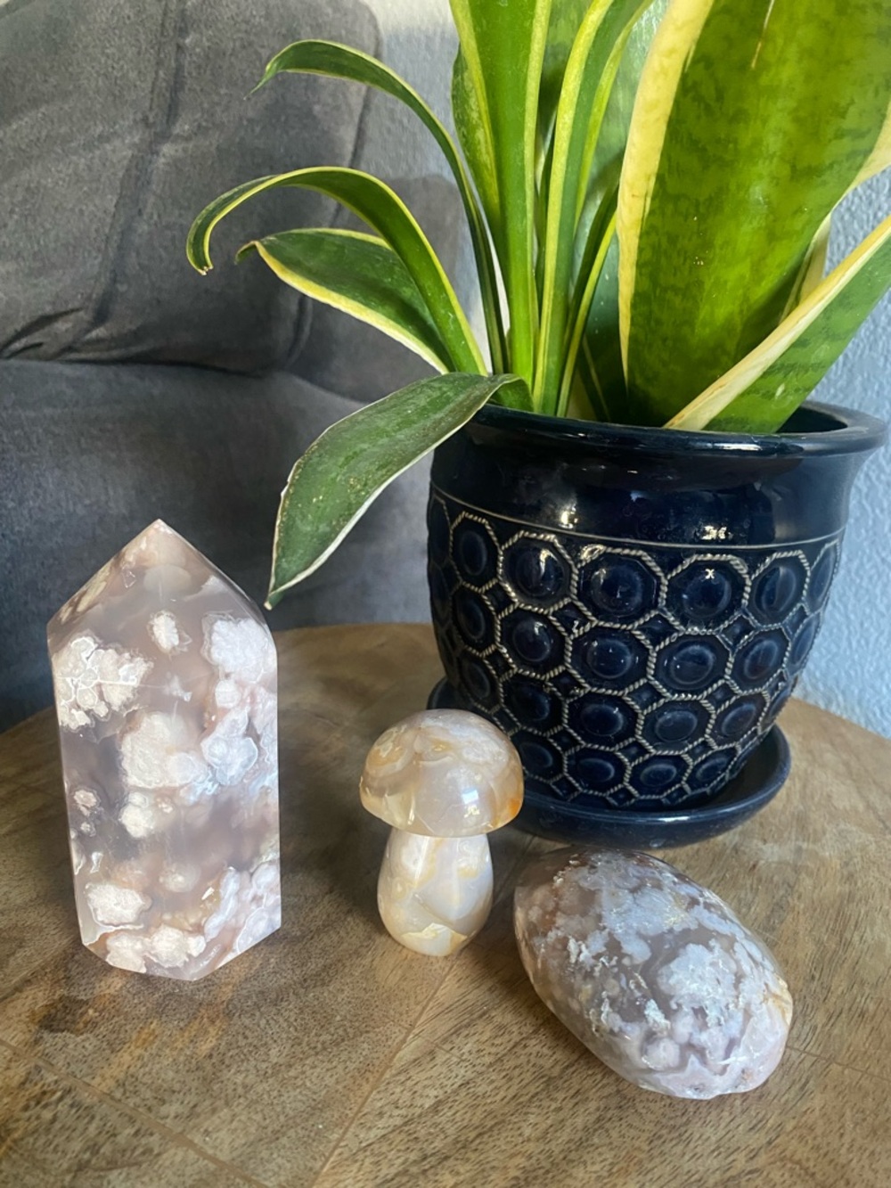 Flower Agate Crystal Bundle